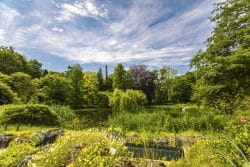 Münster Wandbild Botanischer Garten – Hochwertiger Stoffdruck aus Münster