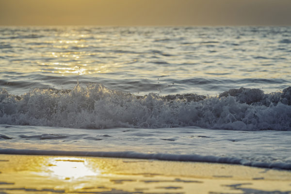 Die Kraft der Nordsee: Eine Welle bricht sich im goldenen Abendlicht am Strand von Sylt.