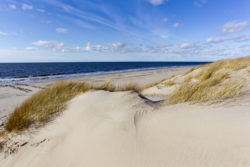 Weite Dünenlandschaft auf Sylt mit Dünengras im Vordergrund und der Nordsee im Hintergrund, unter einem blauen Himmel mit leichten Wolken.