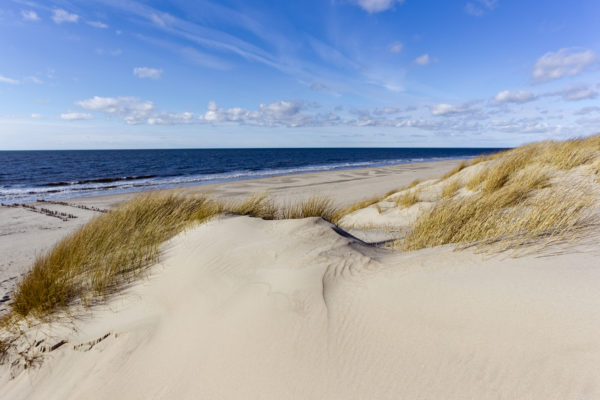 Weite Dünenlandschaft auf Sylt mit Dünengras im Vordergrund und der Nordsee im Hintergrund, unter einem blauen Himmel mit leichten Wolken.