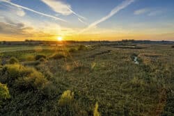 Sonnenuntergang über einer weiten Graslandschaft mit Teichen und weit entfernten Bäumen am Horizont.