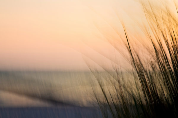 Sanftes Dünengras im Vordergrund mit einem unscharfen Hintergrund von Meer und Himmel bei Sonnenuntergang.