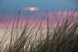 Dünengras im Vordergrund mit einem malerischen Sonnenuntergang über dem Meer im Hintergrund.