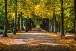 Promenade im Herbst