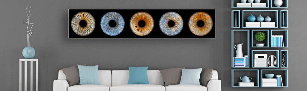 Wandbild mit fünf Irisfotografien in einem Alu-Wechselrahmen von feine art, Artikelnummer 0014, in einem modern eingerichteten Wohnzimmer.