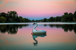 Schwan-Tretboot auf dem Aasee in Münster bei Sonnenaufgang