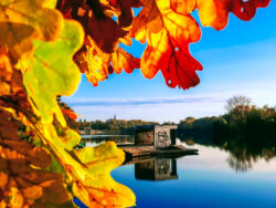 Jorge Pardo Pier im Herbst am Aasee in Münster, umgeben von goldenen Blättern, mit Lambertikirche und Domtürmen im Hintergrund