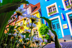 Sonniger Blick auf das charmante blaue Haus in Münster