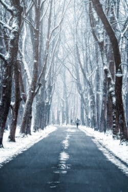 Winterliche Promenade in Münster im Schnee – Fotografie von Sascha Talke (Hochformat)