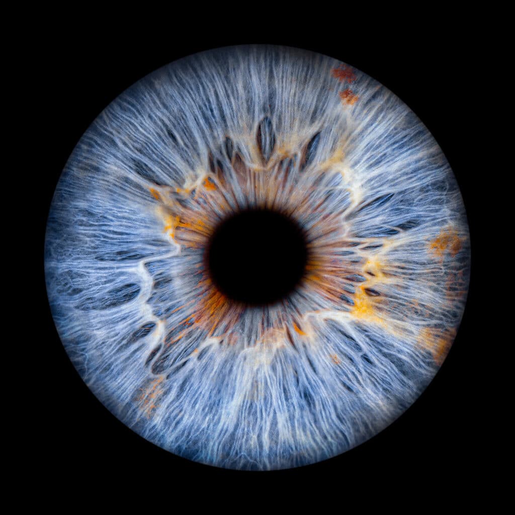 Irisfotografie Münster - Detailaufnahme eines menschlichen Auges